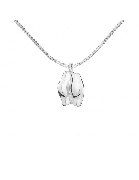 collar plateado trasero