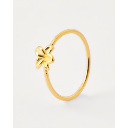ANILLO HIBISCUS 2