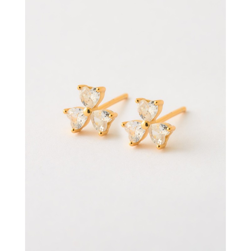 PENDIENTE UNIDAD MINI TREBOL...